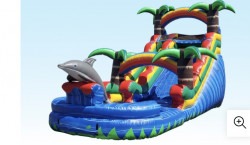 1720ft20dolphin20slide203 1718786538 17 ft Dolphin Water Slide