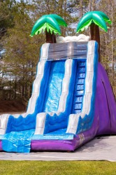 2020ft20Tropical20Paradise20slide20Dry202 1718785782 1 20 ft Tropical Paradise Slide