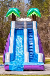 2020ft20Tropical20Paradise20slide20Dry 1720019132 1 20 ft Tropical Paradise Slide