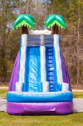 20 ft Tropical Paradise Slide