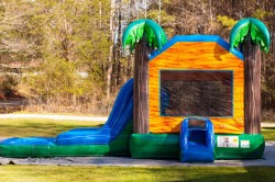 Tropical20Combo20wet 1720019054 15x15 Tropical Bounce House W/Slide Combo